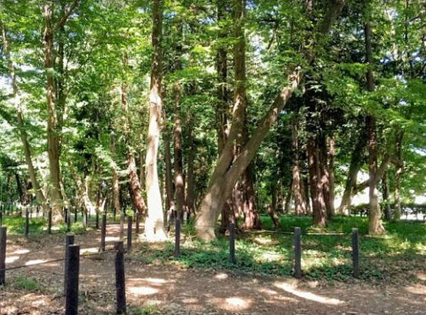 古淵鵜野森公園（約1,103m）