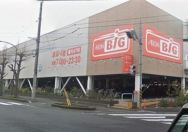 ザ・ビッグ相模原東橋本店(約459m)