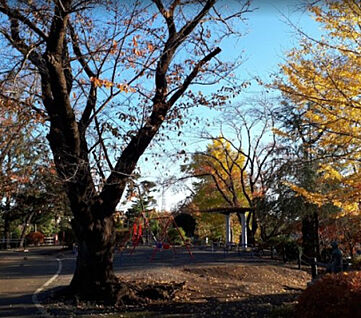 座間公園 879m(徒歩11分)