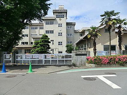 大島小学校 493m(徒歩7分)