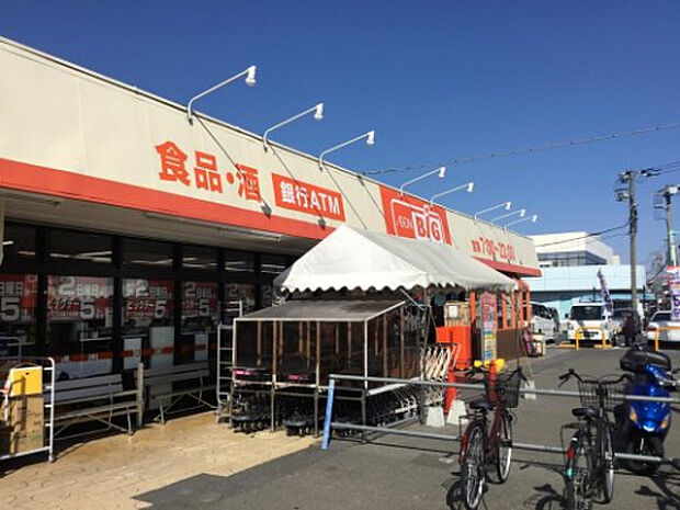 ザ・ビッグ相模原二本松店（約583m）