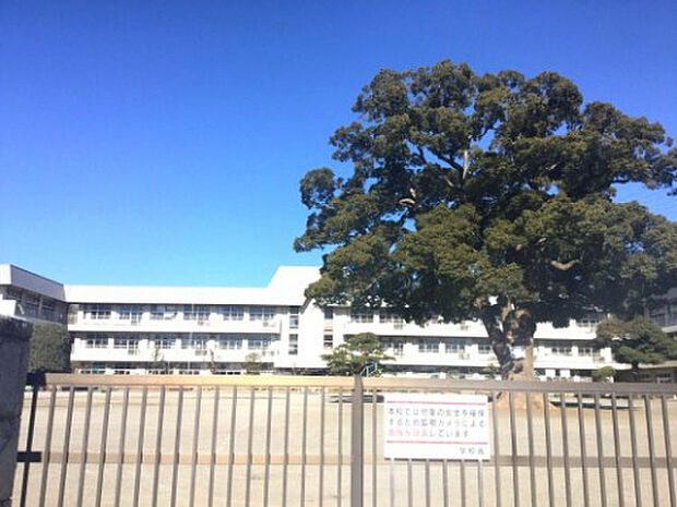 新磯小学校（約964m）
