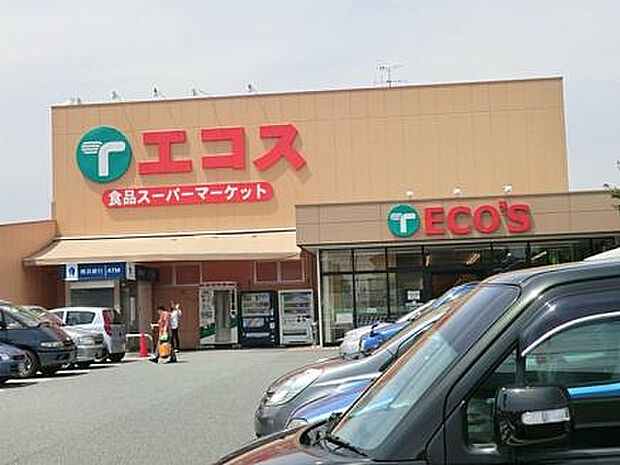 エコス城山店（約782m）