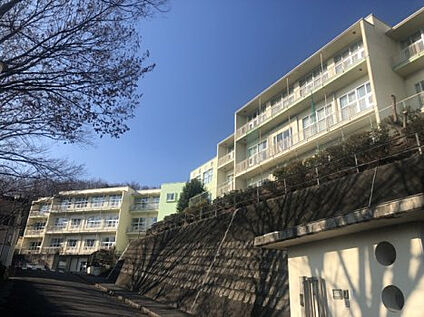 小宮小学校 976m(徒歩13分)