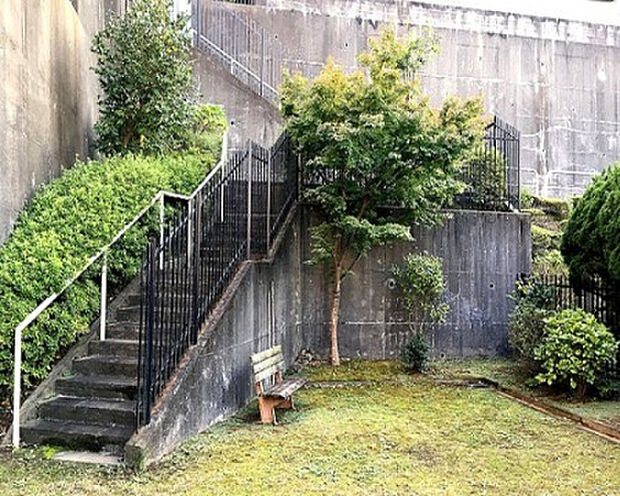 金井ユズリハ公園（約275m）