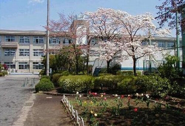 松枝小学校(約878m)