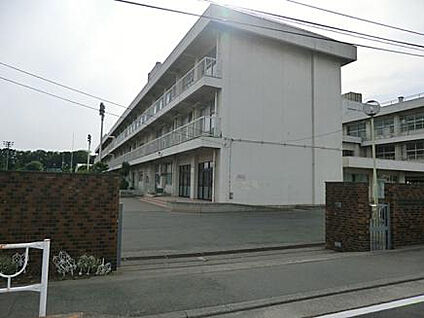 横山小学校 953m(徒歩12分)