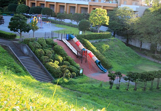 かにが沢公園(約255m)