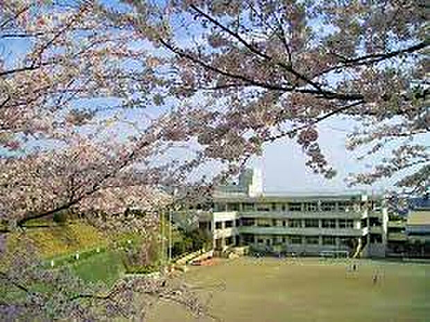 中原小学校（約652m）