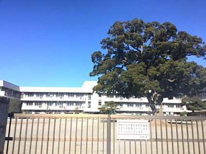 新磯小学校 788m(徒歩10分)