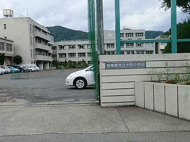 中野中学校（約528m）