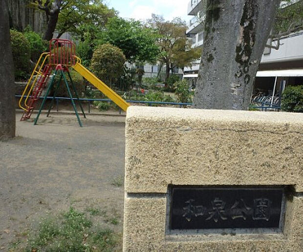 和泉公園（約16m）