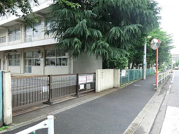 桜台小学校（約625m）