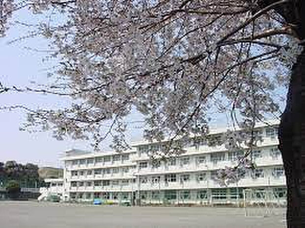 立野台小学校（約323m）