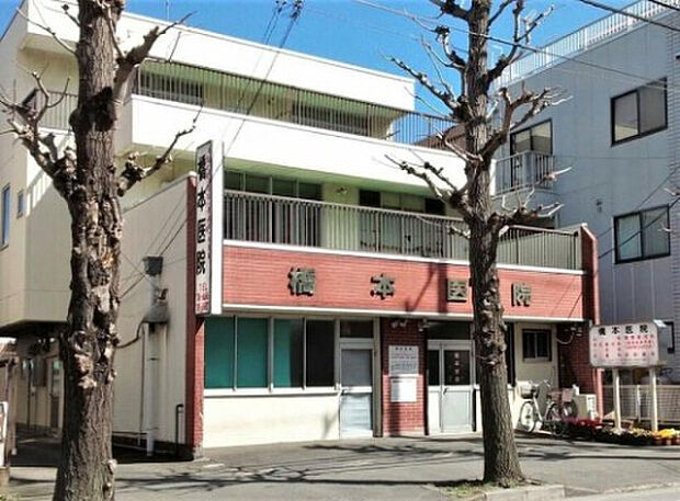 橋本医院（約519m）