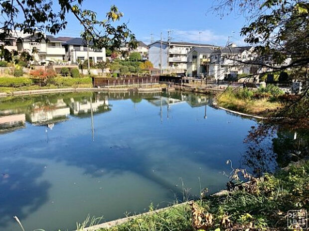 立野台公園(約973m)