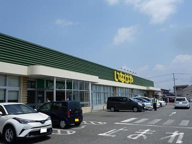 いなげや厚木三田店（約991m）