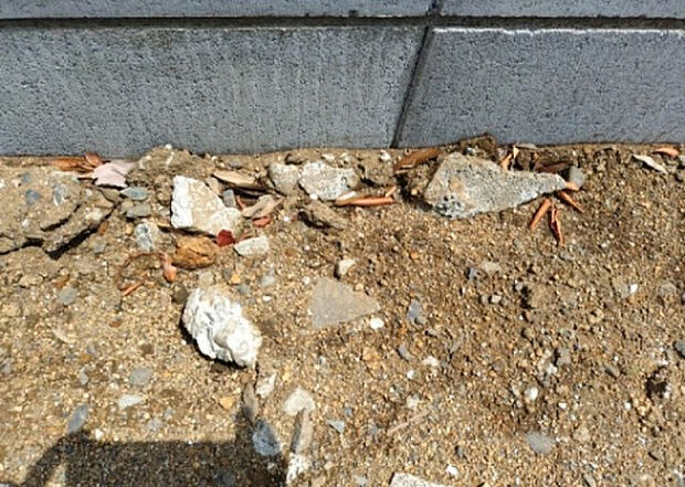 【構造・工法・仕様_2】ベタ基礎とは、柱の位置に関係なく全体に基礎がある事を指し、面積が大きい分建物の重さを全体に分散できます。また、地面からの湿気や害虫を遮断でき、木造住宅で心配されるシロアリ被害を防ぐ効果も期待できます。