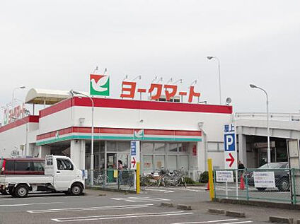 ヨークマート田名店 1237m(徒歩16分)