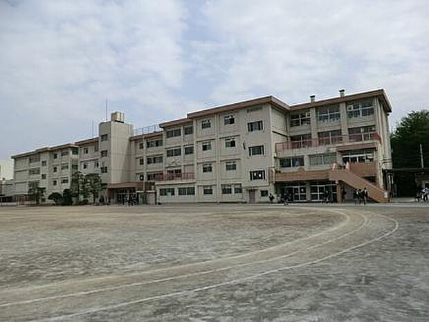 堺中学校(約175m)