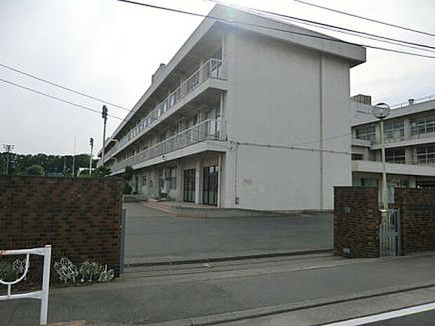 横山小学校(約1,341m)