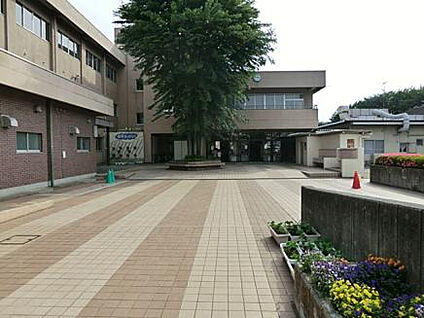 陽光台小学校 1080m(徒歩14分)