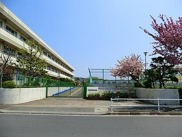大蔵小学校(約1,444m)