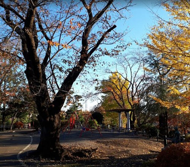 座間公園(約529m)