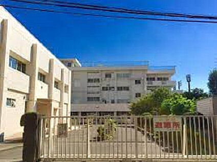 相模中学校 1066m(徒歩14分)