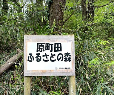 原町田ふるさとの森 125m(徒歩2分)