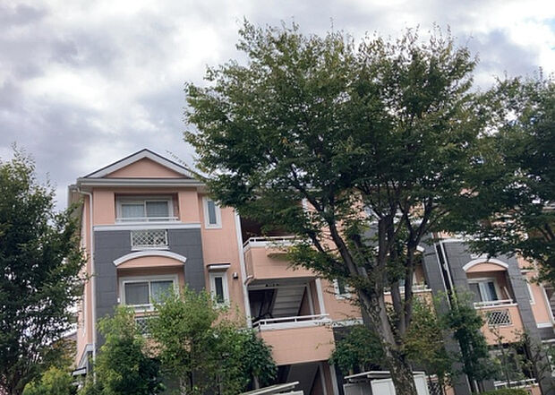 【物件からの展望_3】田園風景が味わえる土地に住みたい！海や山の見える自然豊かな土地に住みたい！などご要望に併せて当社営業がご提案させて頂きます。当社が抱えている数ある物件の中からお客様が納得する1件を一緒に探しましょう！