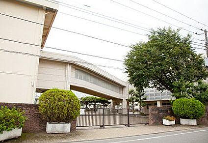 麻溝台中学校 859m(徒歩11分)