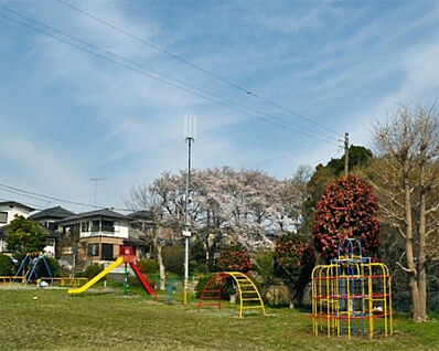 緑ケ丘第３公園 215m(徒歩3分)