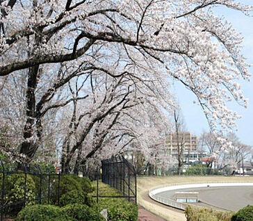 富士森公園 619m(徒歩8分)