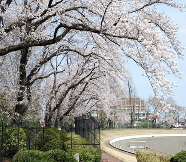 富士森公園(約619m)