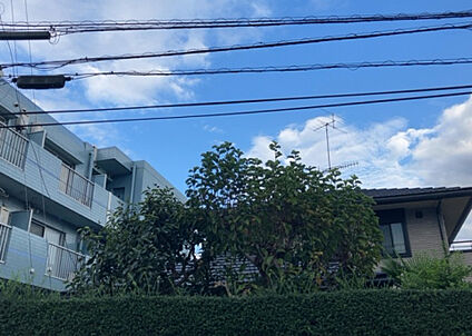 物件からの展望_3