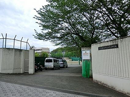 真光寺中学校 602m(徒歩8分)