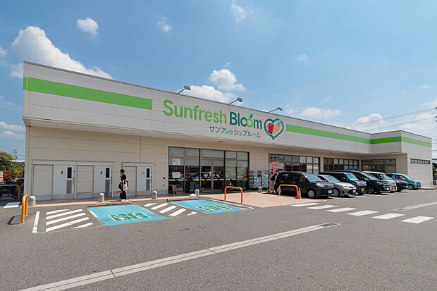 サンフレッシュブルーム(約560m)
