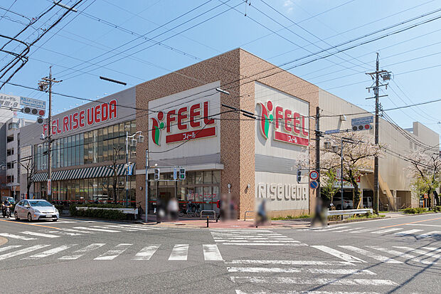 フィールRISE（約640m）