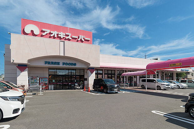 アオキスーパー（約560m）