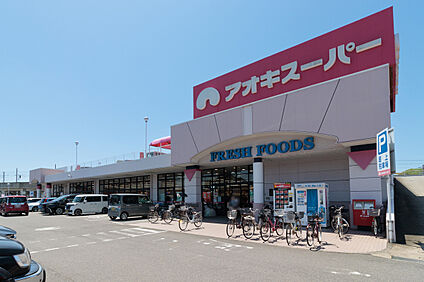 アオキスーパー 320m(徒歩4分)