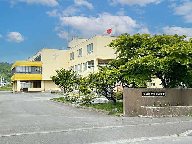 富岸小学校(約600m)