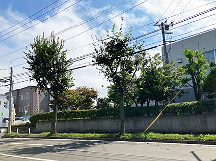 北野中学校 1430m(徒歩18分)