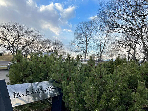 旭ケ丘ふれあい公園（約30m）