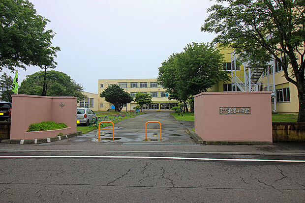 北星小学校(約750m)