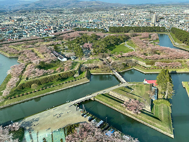 五稜郭公園(約700m)