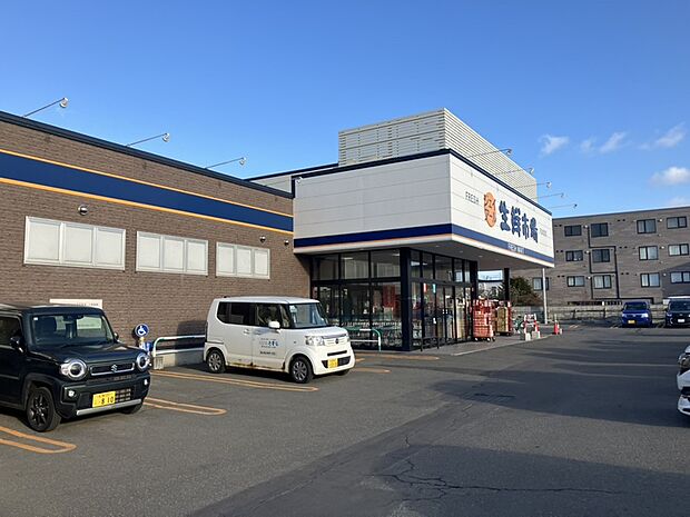ジェイアール生鮮市場恵庭店（約350m）