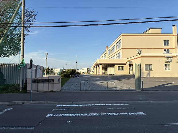 新富小学校 (約550m)