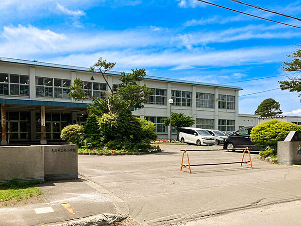 柏小学校(約200m)