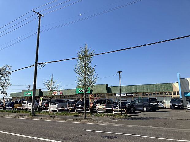 コープさっぽろ川下店（約490m）